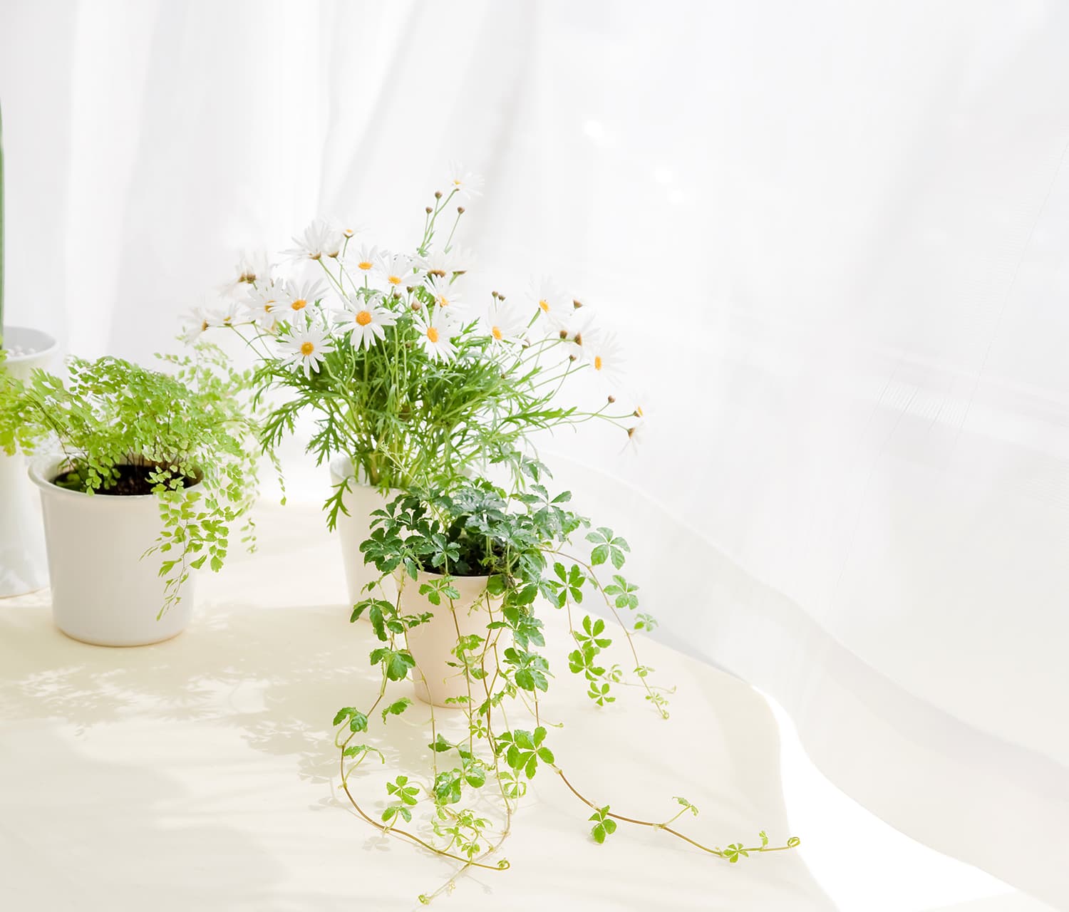 M-styleについての概要を説明します